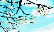 节气与香道 霜降用香 调和身心