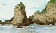 土命人的长相特点