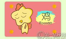 属鸡外出打拼能逆袭吗