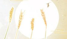 属马过年相亲是一种什么样的体验