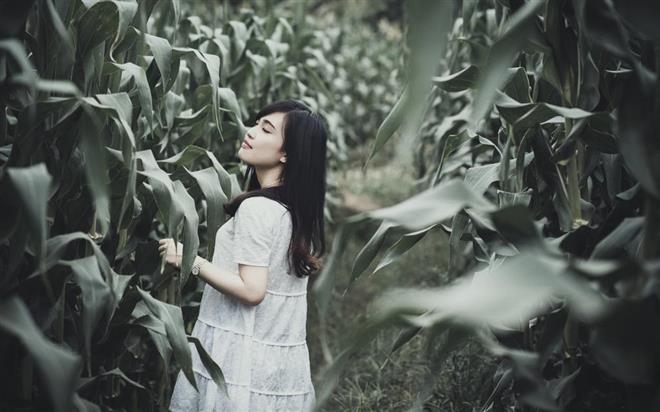感情总是大于回归，苦恼！