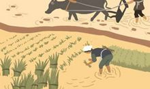 81年木命的人五行缺什么 怎么化解