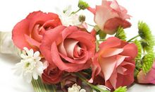 2019年虚岁年龄对照表,年龄虚岁怎么算