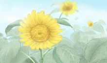 99年属兔最佳结婚年龄 属兔姻缘