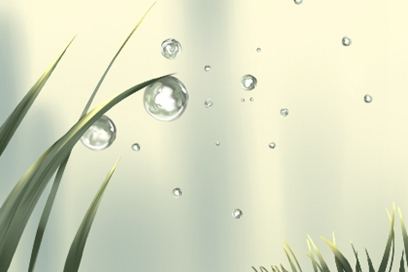 白色露水这个太阳含量和传奇故事