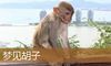 梦见胡子