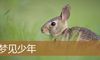 梦见少年