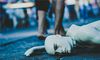 梦见死亡