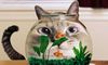 孕妇梦见猫和老鼠