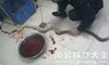 梦见蛇被爸爸打死了