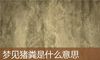 梦见猪粪是什么意思