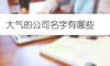 大气的公司名字有哪些