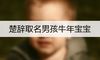 楚辞取名男孩牛年宝宝