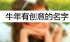 牛年有创意的名字