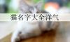 猫名字大全洋气
