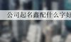 公司起名鑫配什么字好