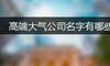 高端大气公司名字有哪些
