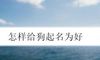 怎样给狗起名为好