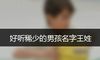 好听稀少的男孩名字王姓
