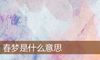 春梦是什么意思
