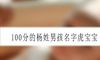 100分的杨姓男孩名字虎宝宝