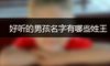好听的男孩名字有哪些姓王