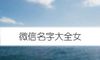 微信名字大全女