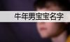 牛年男宝宝名字