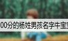 100分的杨姓男孩名字牛宝宝