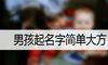 男孩起名字简单大方