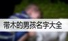带木的男孩名字大全
