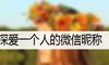 深爱一个人的微信昵称