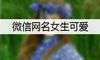 微信网名女生可爱