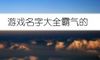游戏名字大全霸气的