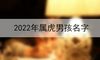 2022年属虎男孩名字