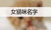 女猫咪名字
