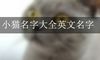 小猫名字大全英文名字