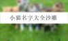 小猫名字大全沙雕