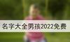 名字大全男孩2022免费
