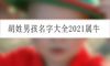 胡姓男孩名字大全2021属牛