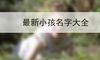 最新小孩名字大全