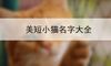 美短小猫名字大全