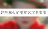 好听稀少的男孩名字虎宝宝