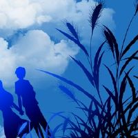 2022年,最好的星座的感情感受的感受