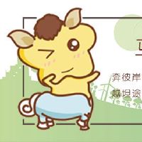 马匹和谁有最好的伴侣是最好的马