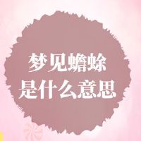 梦想梦是什么意思?
