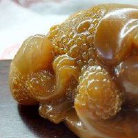 梦想着看看金色的金色公公中中的意思是什么意思？这是一个ji zhao吗？