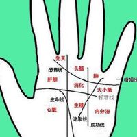 什么是商业线，业务线的意义是什么？