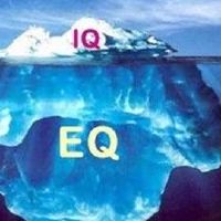 十二星级智商排名