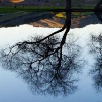 什么命运是一个命运?